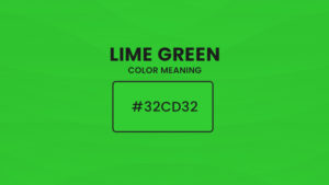 Lime green color meaning