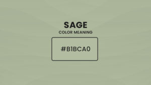 Sage color meaning