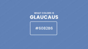 What color is glaucous