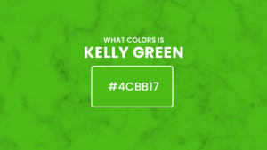 What color is kelly green