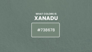 What color is xanadu