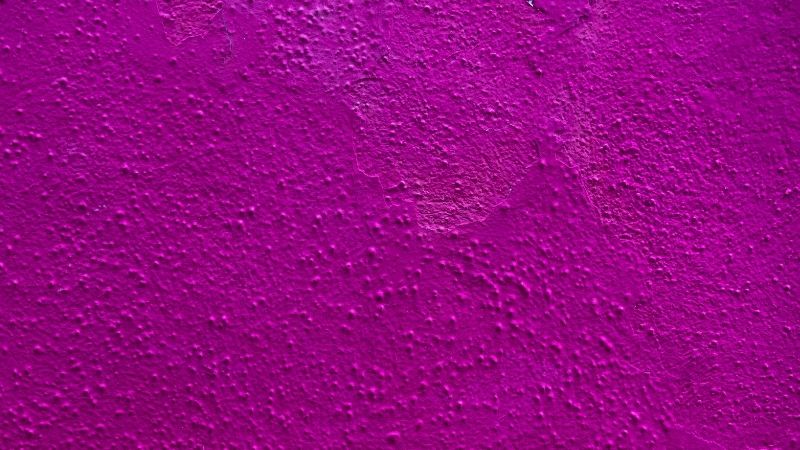 fuchsia wall paint color example - what color is fuchsia