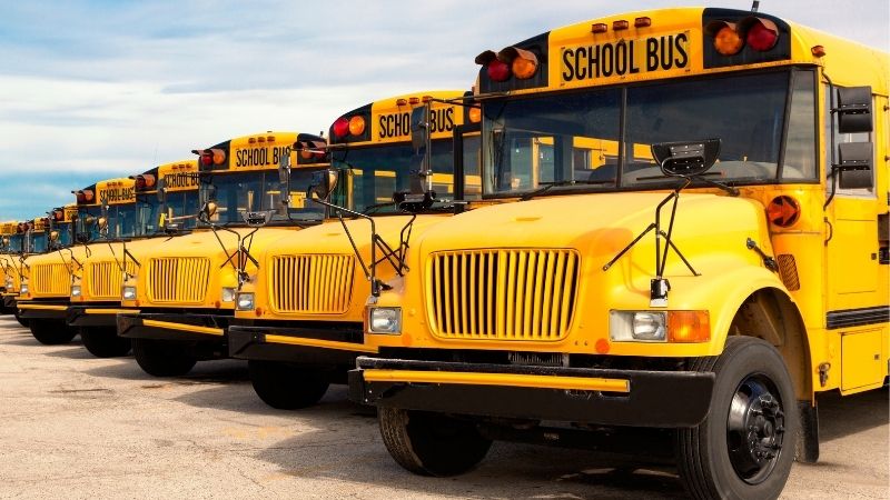 yellow school bus - what is the opposite color of purple