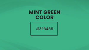 Mint green color