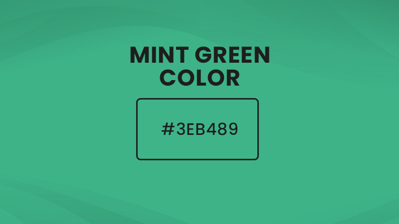 Mint green color