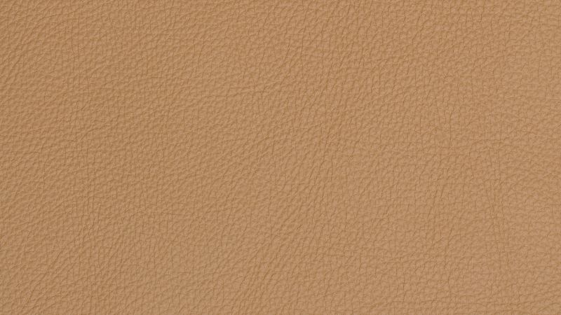 Seamless camel color background, pen line graphics, wallpaper wall mural •  murals colour, abstract, shapely | myloview.com