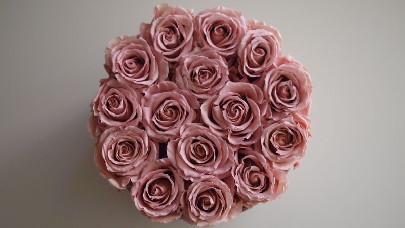 Dusty rose colored flowers